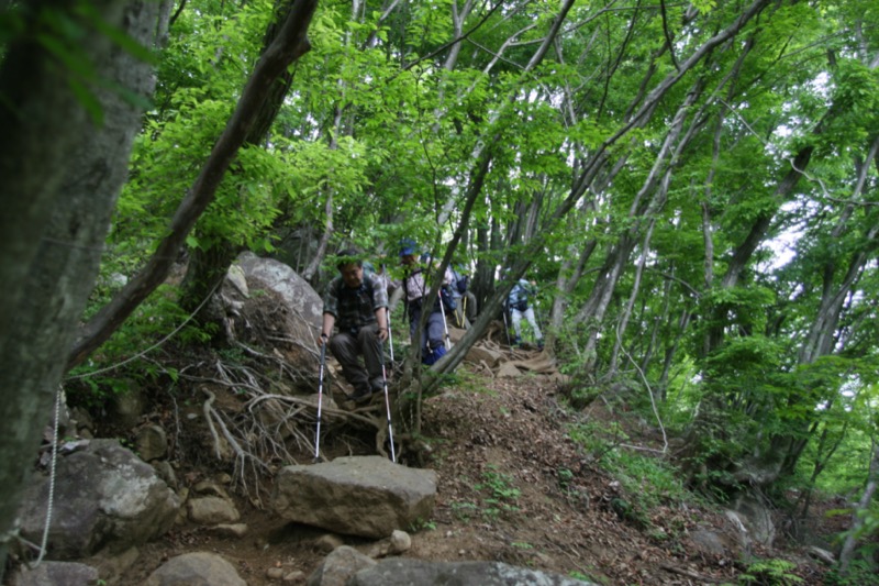 高川山